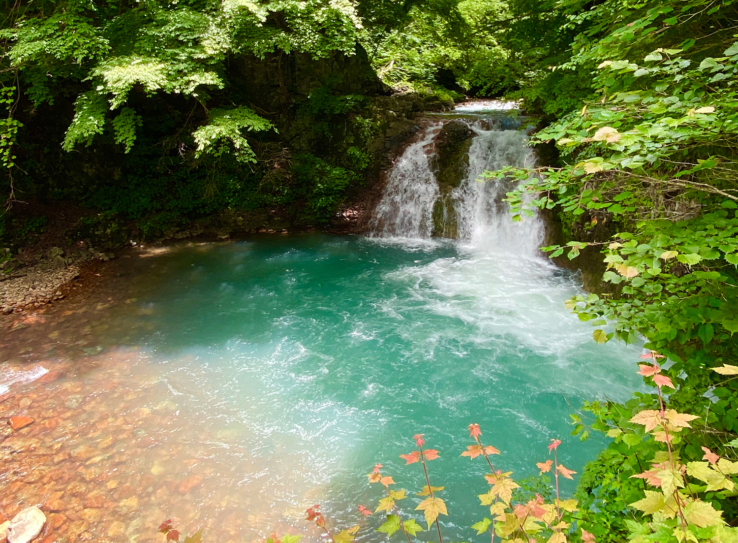 温泉と自然